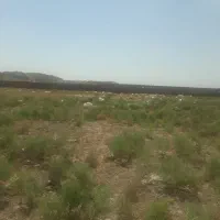 فروش زمین در ابتدای جاده کلات