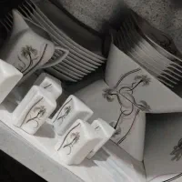 ظروف چینی طوس