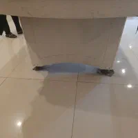 میز بیلیارد و اسنوکر و فوتبال دستی|تجهیزات ورزشی|جاسک, |دیوار