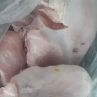 گوشت بوقلمون وبلدرچین|خوردنی و آشامیدنی|شاهرود, |دیوار