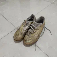 کفش فوتبال و فوتسال