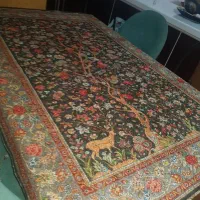 روفرشی مخمل