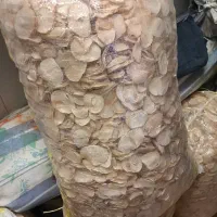 پخش عمده اسلایس موسیر درشت و اسلایس سیر و غیره