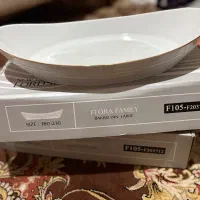 ظروف مرغ خوری