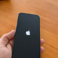 آیفون ۱۳ پرو مکس Za/a ۵۱۲ گیگ پک اصلی|موبایل|رشت, کاکتوس|دیوار