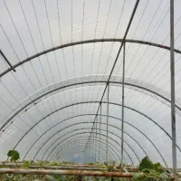 فروش سازه گلخانه