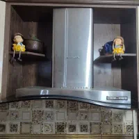 هود آشپزخانه پویا مکس