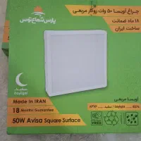 دوتا لامپ روکار ۵۰ وات آویسا پلمپ