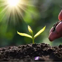 کشاورزی و باغداری