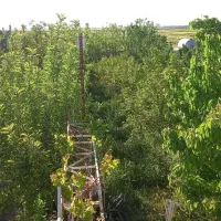 فروش باغ میوه