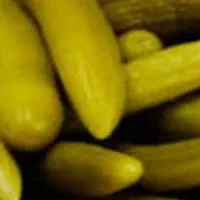 خیار شوروترشی