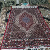 فرش دست باف|فرش|سنندج, |دیوار