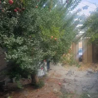 فروش زمین ۸۰ متری در حصار|فروش زمین و ملک کلنگی|کرج, حصار|دیوار