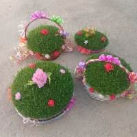سبزه|گل و گیاه طبیعی|کنگاور, |دیوار