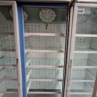 یخچال ویترینی|فروشگاه و مغازه|کردکوی, |دیوار