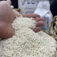 برنج هاشمی درجه یک