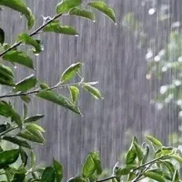 نیم ساعت اب موتور بم