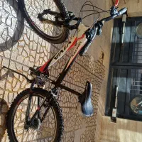 دوچرخه ویوا اصل تایوان ورتکس سایز ۲۴