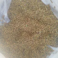 تخم یونجه
