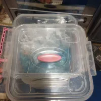 جا حبوباتی|ظروف نگهدارنده، پلاستیکی، یک‌بارمصرف|ارومیه, |دیوار