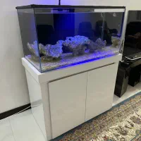 اکواریوم آبشور کامل