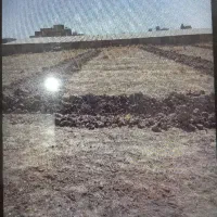 فروش زمین ۳۲۰ متر چسبیده به بافت