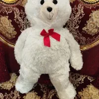 خرس بزرگ