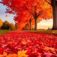 زمین ۴۰۰ متری فاز دوم کوی‌ کارمندان ( الهیه )