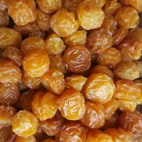 نیرو پخش گرم