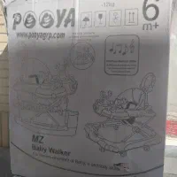 روروک نو داخل کارتت