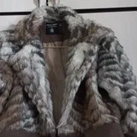 پالتو|لباس|اسلامآباد غرب, |دیوار