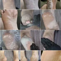 جشنواره آموزشی خدمات اسپا|خدمات آرایشگری و زیبایی|بهبهان, |دیوار