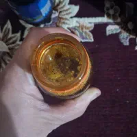 دوشاب اره جنگلی و دوشاب ازگیل|خوردنی و آشامیدنی|لاهیجان, آهندان|دیوار