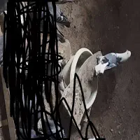 گم شده