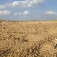 فروش باغ|فروش زمین و ملک کلنگی|صالح آباد, |دیوار