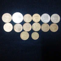 تعدادیپولکلکسیونی