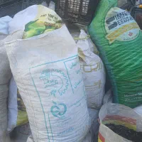 ذغال|عمده‌فروشی|تویسرکان, |دیوار