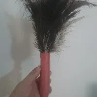 گردگیر پر شترمرغ