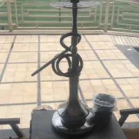 قلیان قلیون کافه