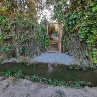 باغچه نقلی ۲۲۰ متری قیمت مناسب درختان قدیمی