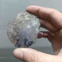 راف شجرمشکی تک درخت|جواهرات|یزد, |دیوار