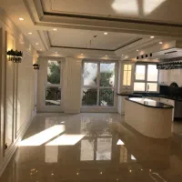 ۱۶۰ متر کلیدنخورده بینظیر / پونک همیلا|فروش آپارتمان|تهران, شهرک هما|دیوار