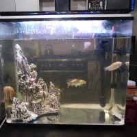 فروش آکواریوم به دلیل مهاجرت