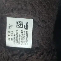 کفش آمریکایی سایز 45|کیف، کفش، کمربند|پرند, فاز ۶|دیوار