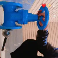 والف برقی و صاده