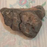 خ شهاب سنگ|جواهرات|شیراز, ارم|دیوار