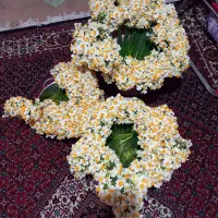 گل نرگس|گل و گیاه طبیعی|معمولان, |دیوار