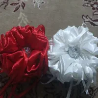 کلیپس نو