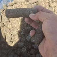 خوراک دام