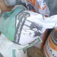 مکمل شرق برای گاو